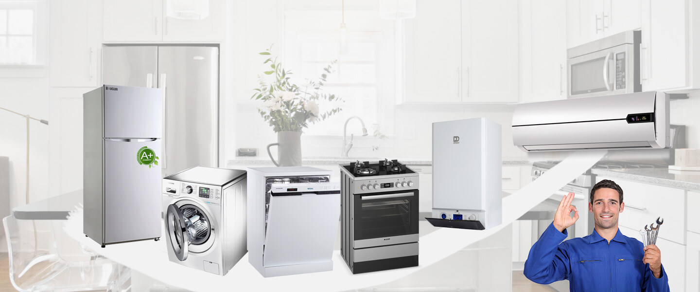 Koçarlı Gorenje Servisi